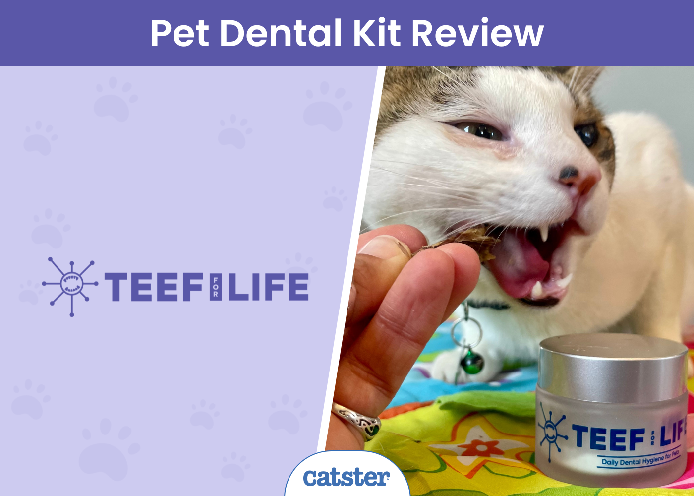 TEEF for Life Protektin30™ Review 2024: Our Hands-On Experience